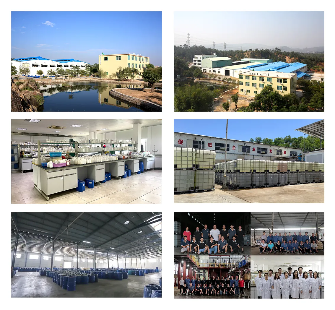 The Latest Progress of Bluelake Chemical's New Factory! Will Enter The Fast Track of Development in 2025!